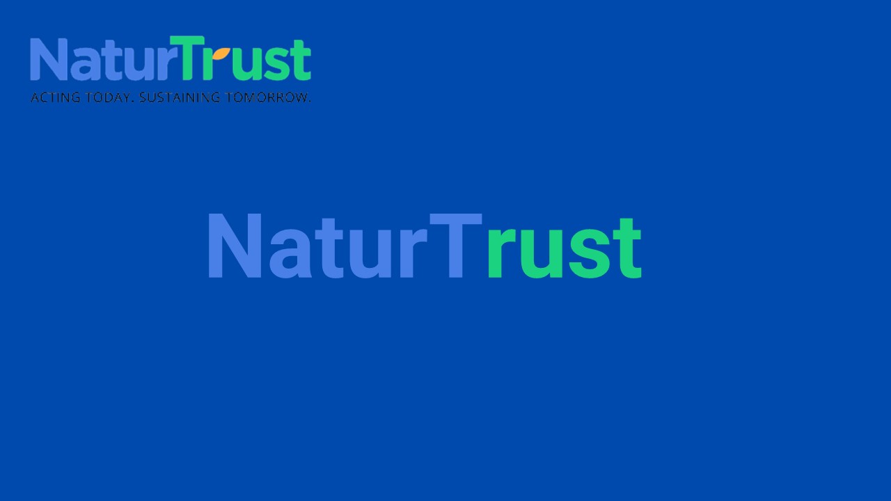 Going Green: The Power of Compostable Dog Poop Bags