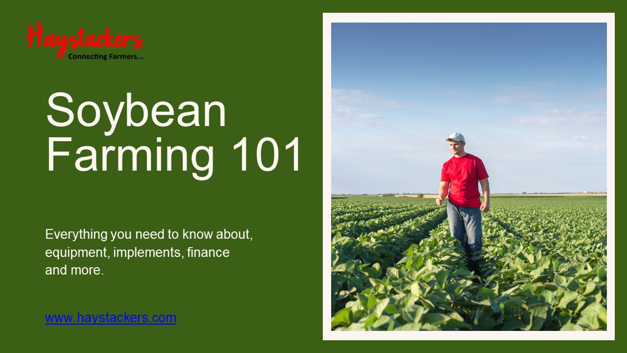 Start your soybean farm this year