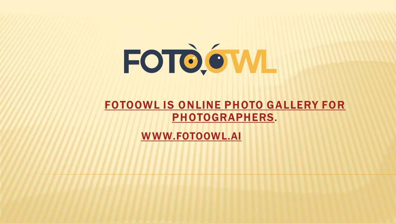 FOTOOWL is Online Photo Gallery for Photographers.