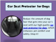 Car Seat Protector for Dogs