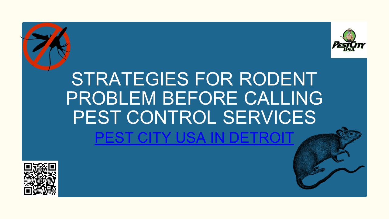 Efficient Ways to Cope with Rodent Issues | Pest City USA
