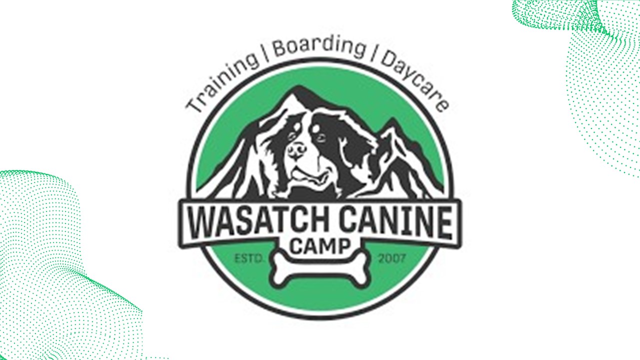 Dog Training Springville UT