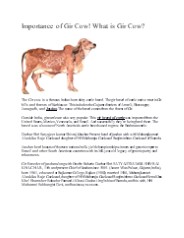 Importance of Gir Cow! What is Gir Cow?