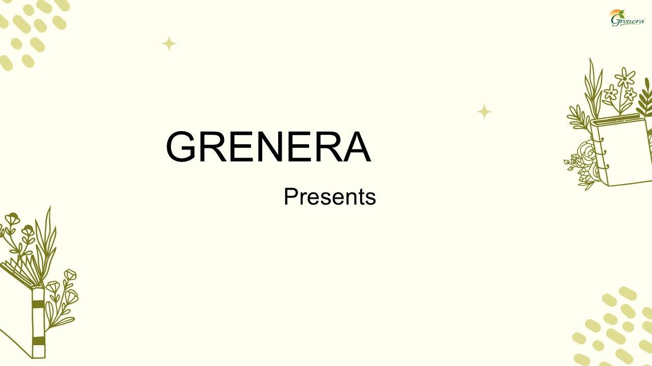 Wholesale Moringa Seed Kernel Suppliers In India