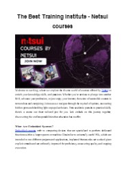 The Best Training Institute - Netsui Course