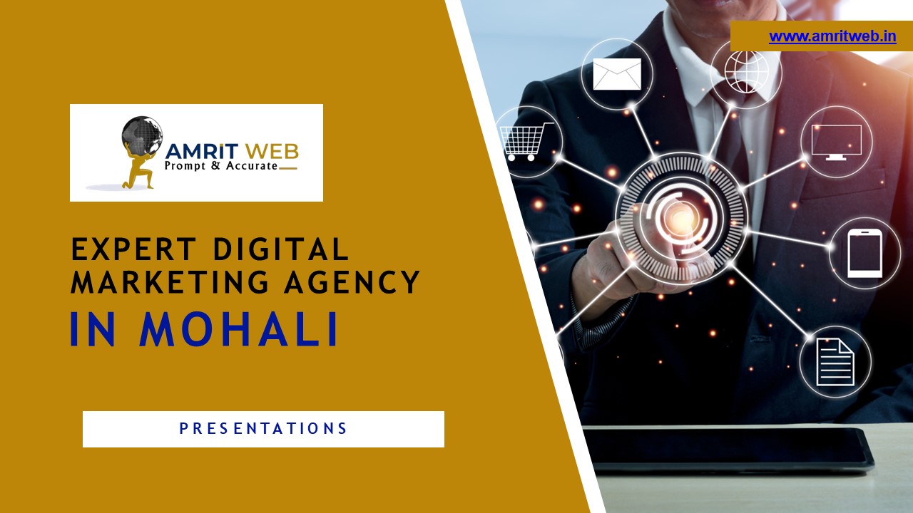 Expert Digital Marketing Agency in mohali (1)