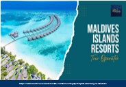 Best Dolphin Watching in Maldives