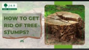How to Get Rid of Tree Stumps?
