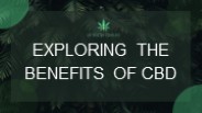 Empowering Wellness: Unlocking the Benefits of CBD