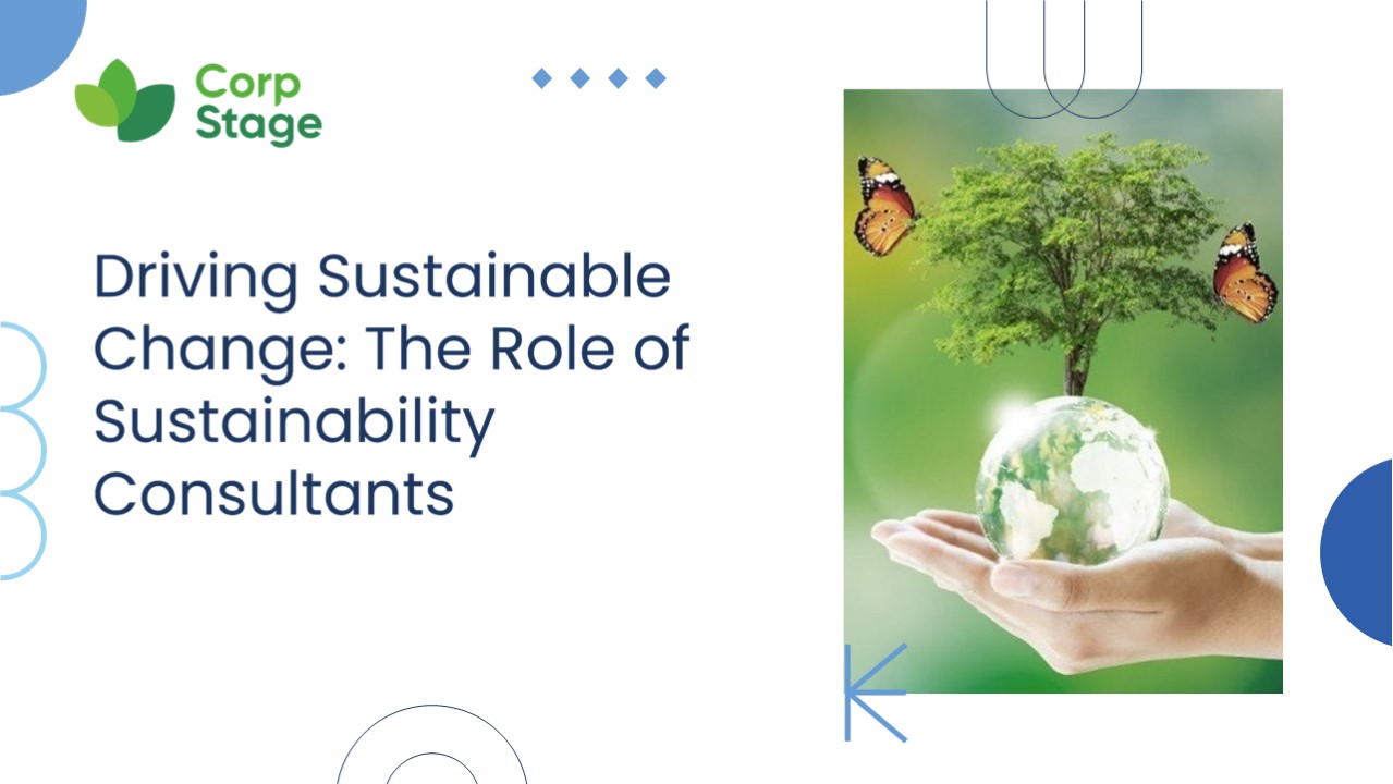 driving sustainable change the role of sustainability consultants