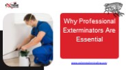 Why Professional Exterminators Are Essential