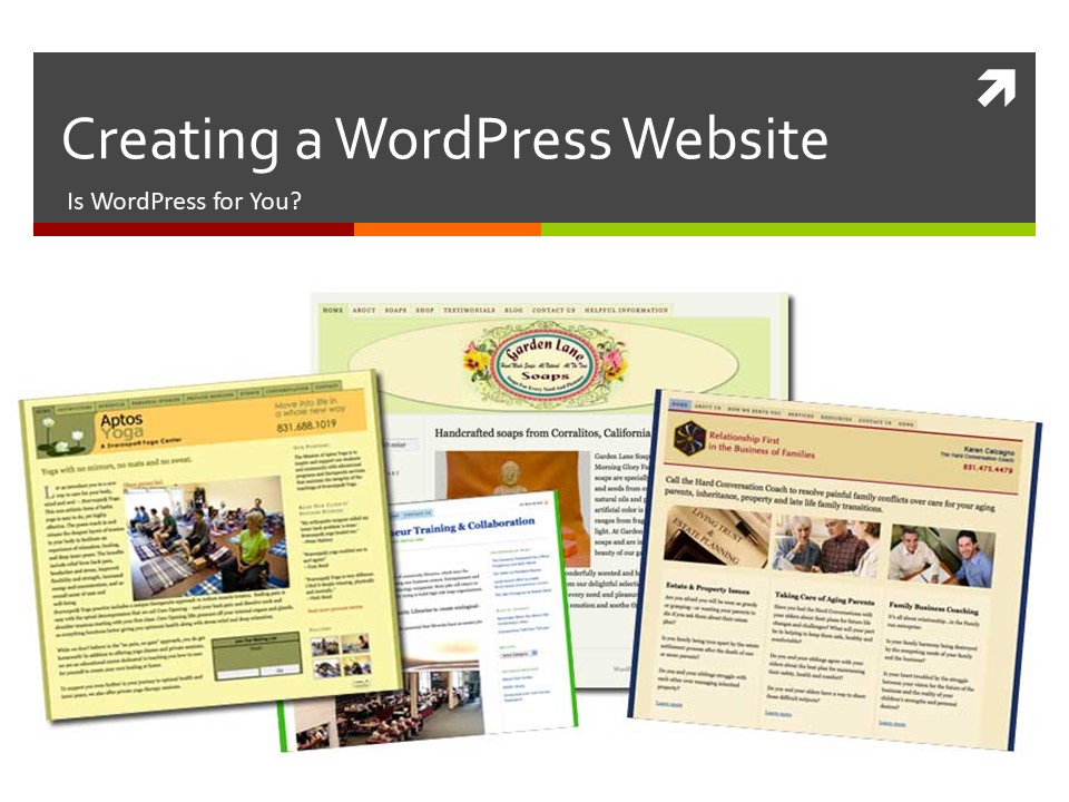 Custom WordPress Development Company USA