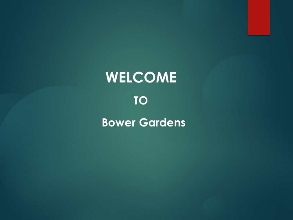 Best Deck Building Services in Yarrunga