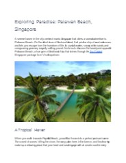 Exploring Paradise: Palawan Beach, Singapore