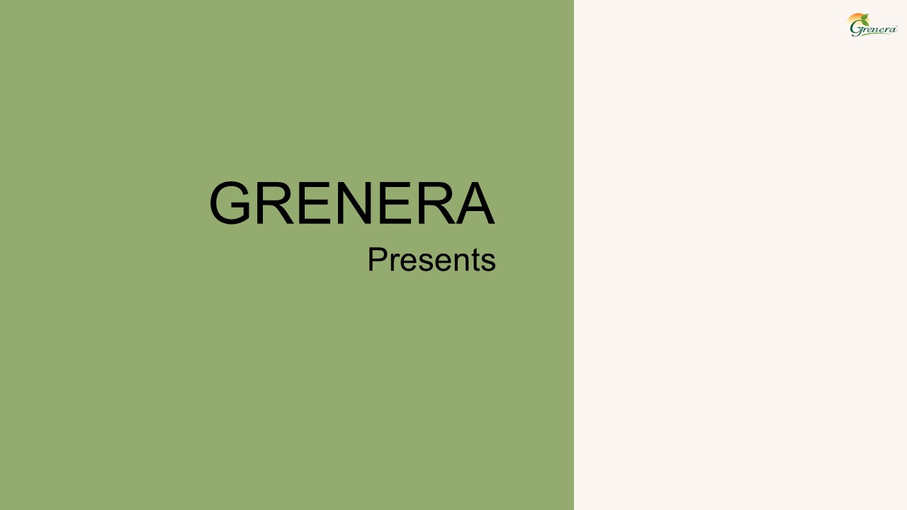 Bulk Organic Moringa Tablet Suppliers