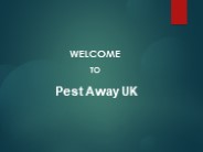 Emergency Pest Control Call Outs in Edgeley