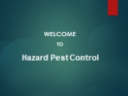Insect Removal in Scartho