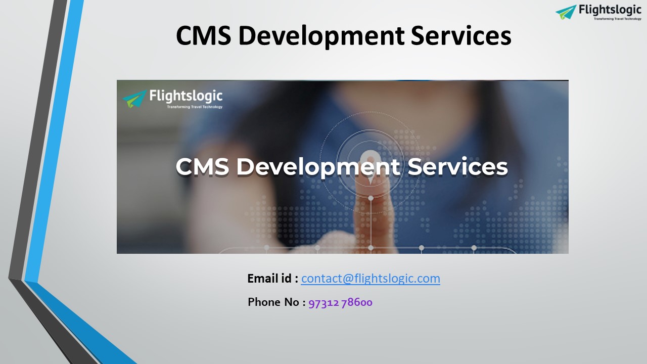 CMS Development Services