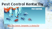 Pest Control Kentucky