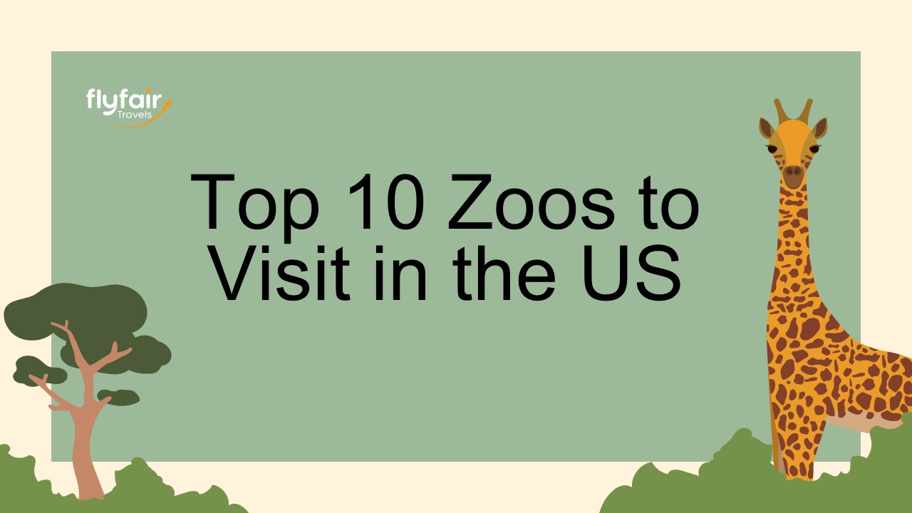 PPT Top 10 Zoos to Visit in the United States! PowerPoint