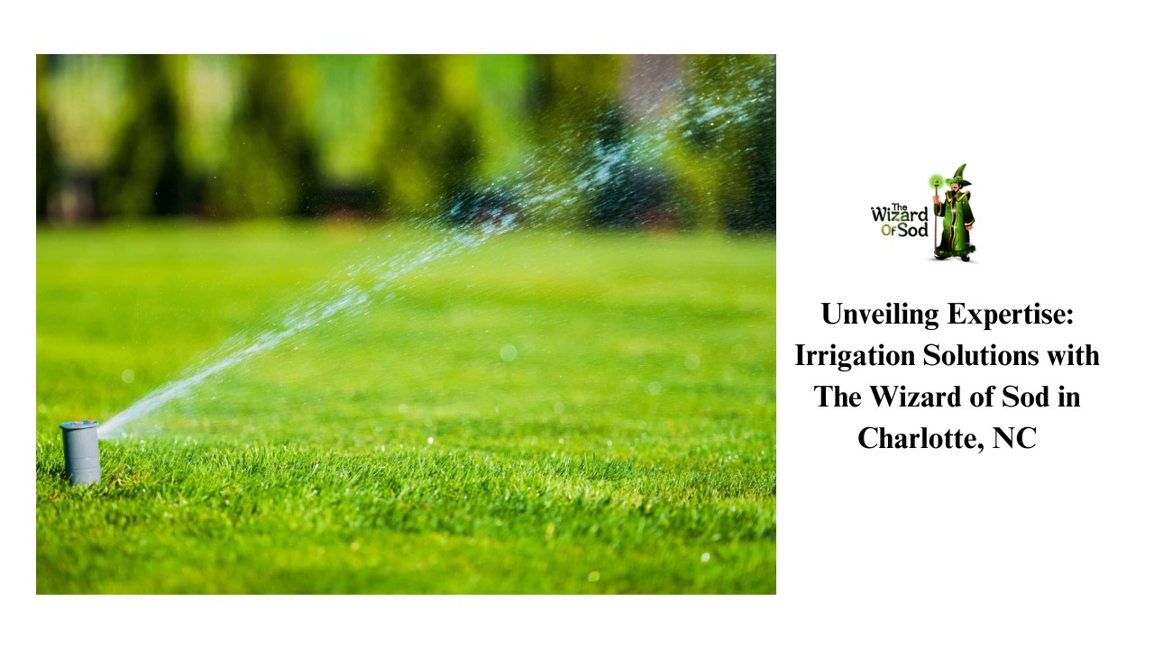UNVEILING EXPERTISE: IRRIGATION SOLUTIONS WITH THE WIZARD OF SOD IN CHARLOTTE, NC