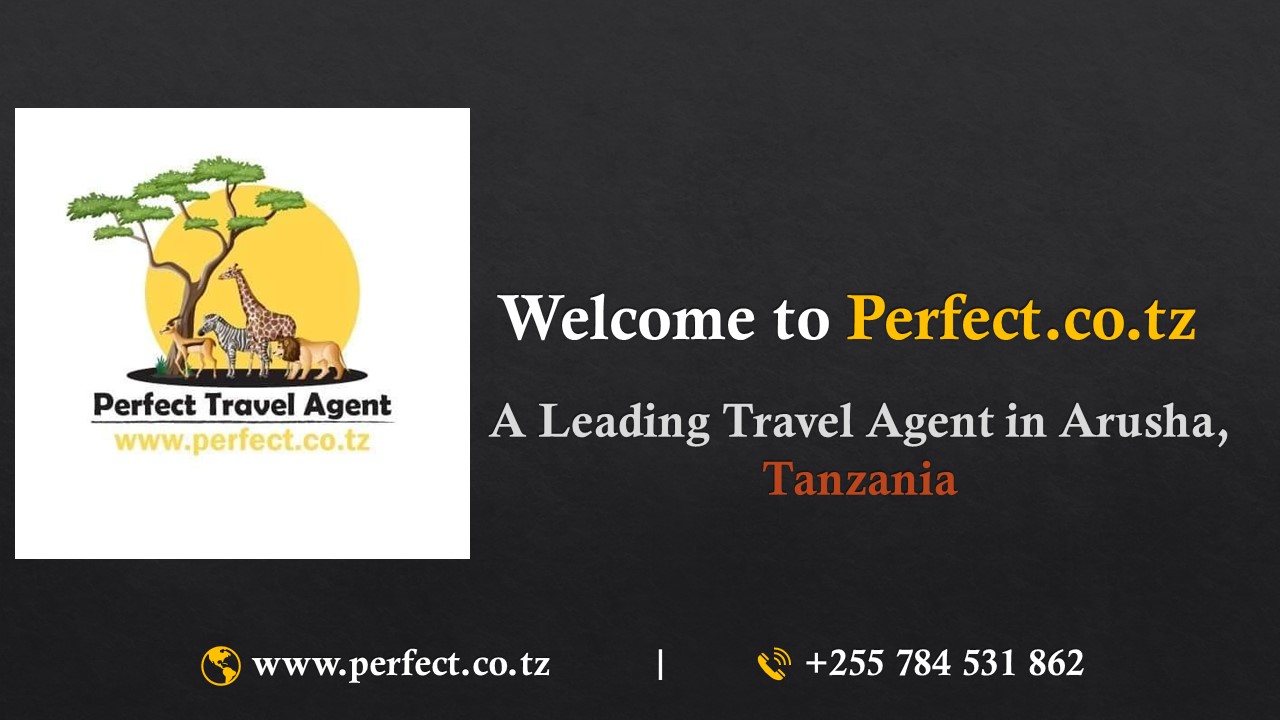 Safari Tour Operators for Arusha