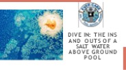Salt Water Above Ground Pool