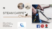 Steam Carpet Cleaning Columbus, GA