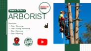 Arborist Hesperia, CA