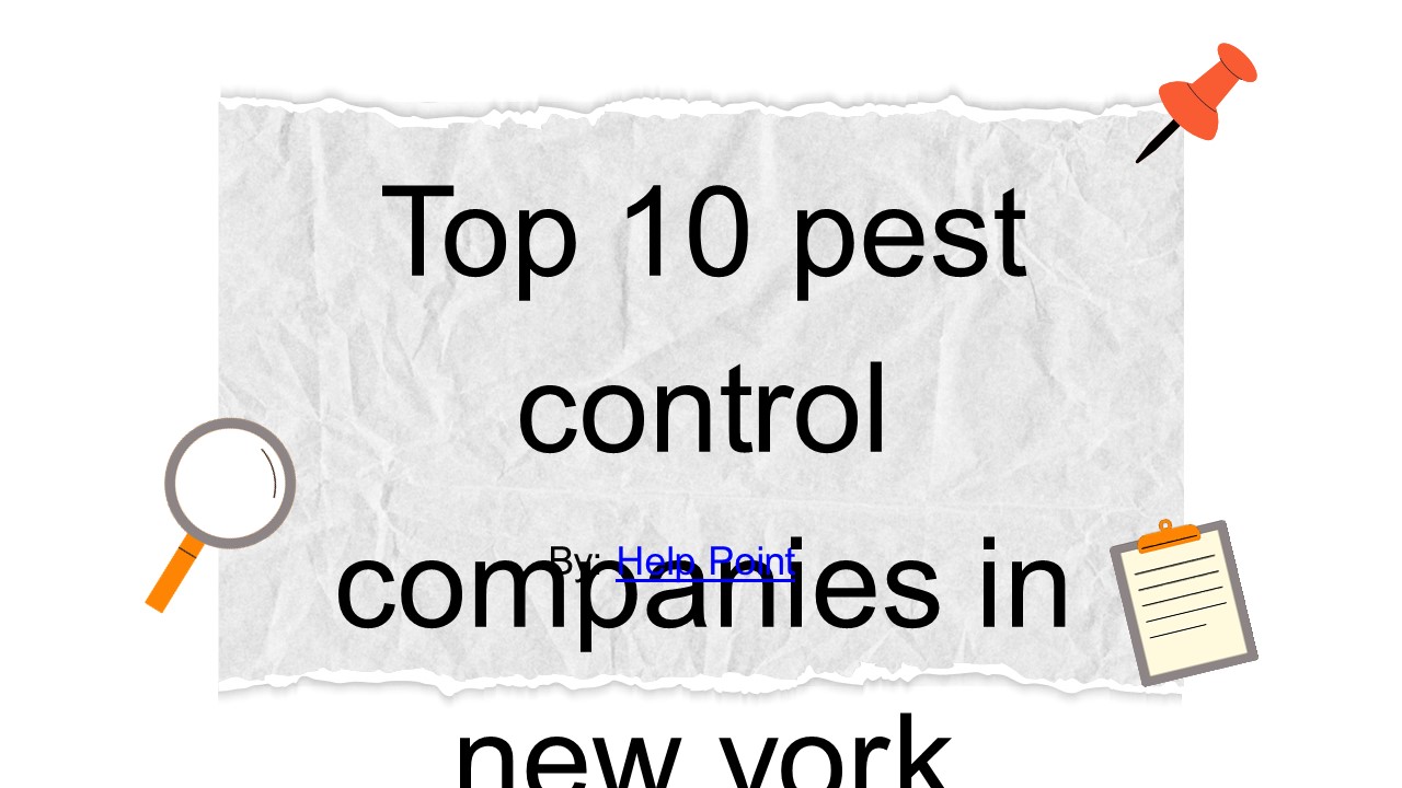 Best Pest Control Companies New York