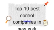 Best Pest Control Companies New York