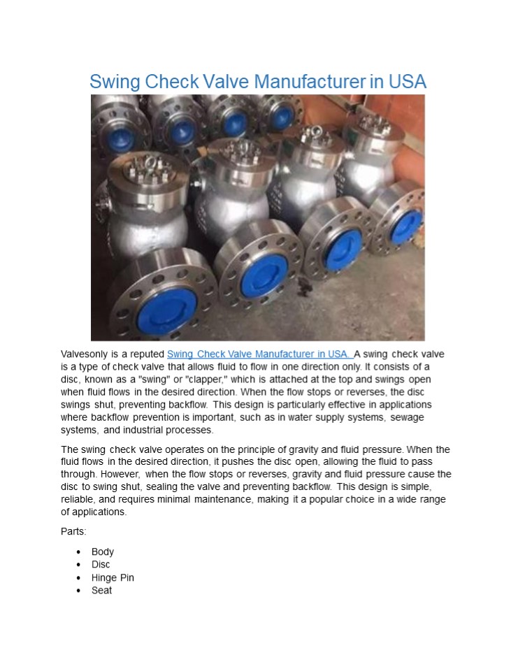 Swing Check Valve Manufacturer in USA