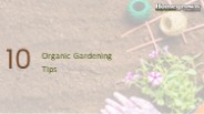 Organic Gardening Tips