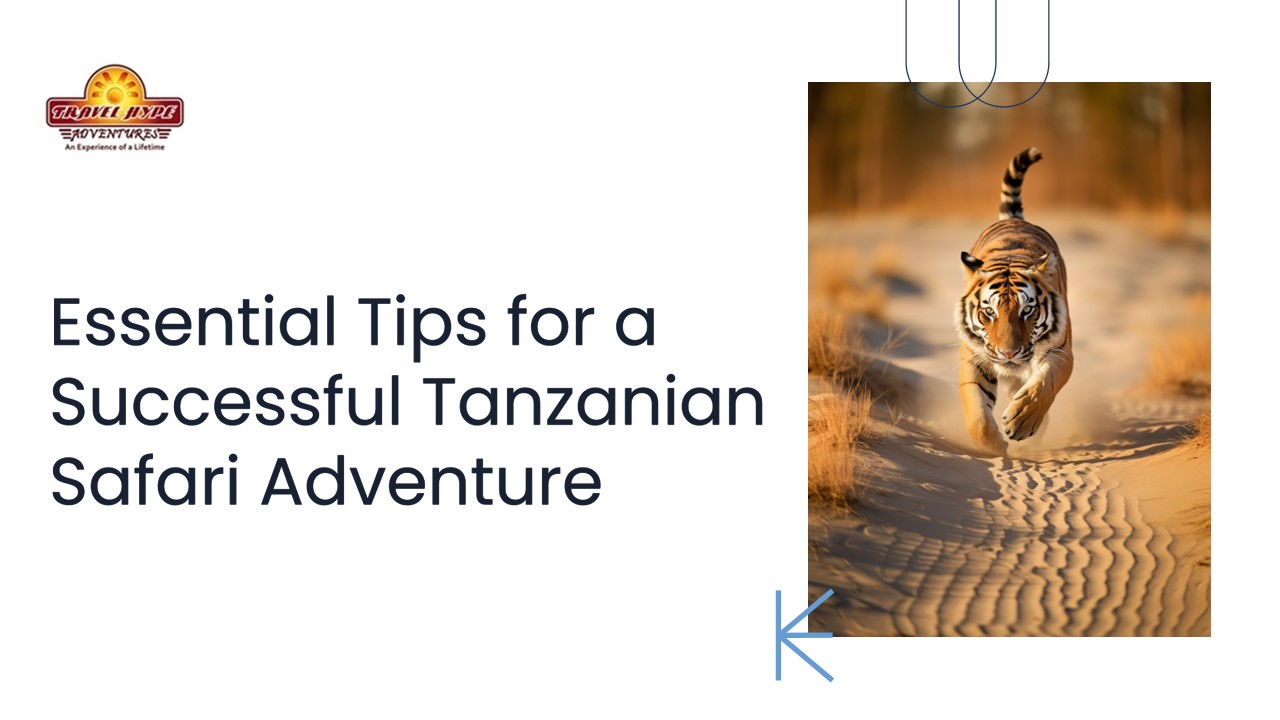 Essential Tips for a Successful Tanzania Safari Adventure