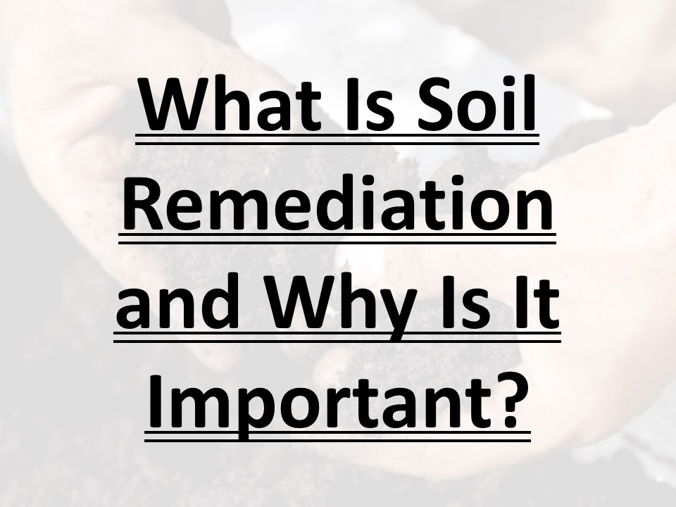 What Is Soil Remediation and Why Is It Important?