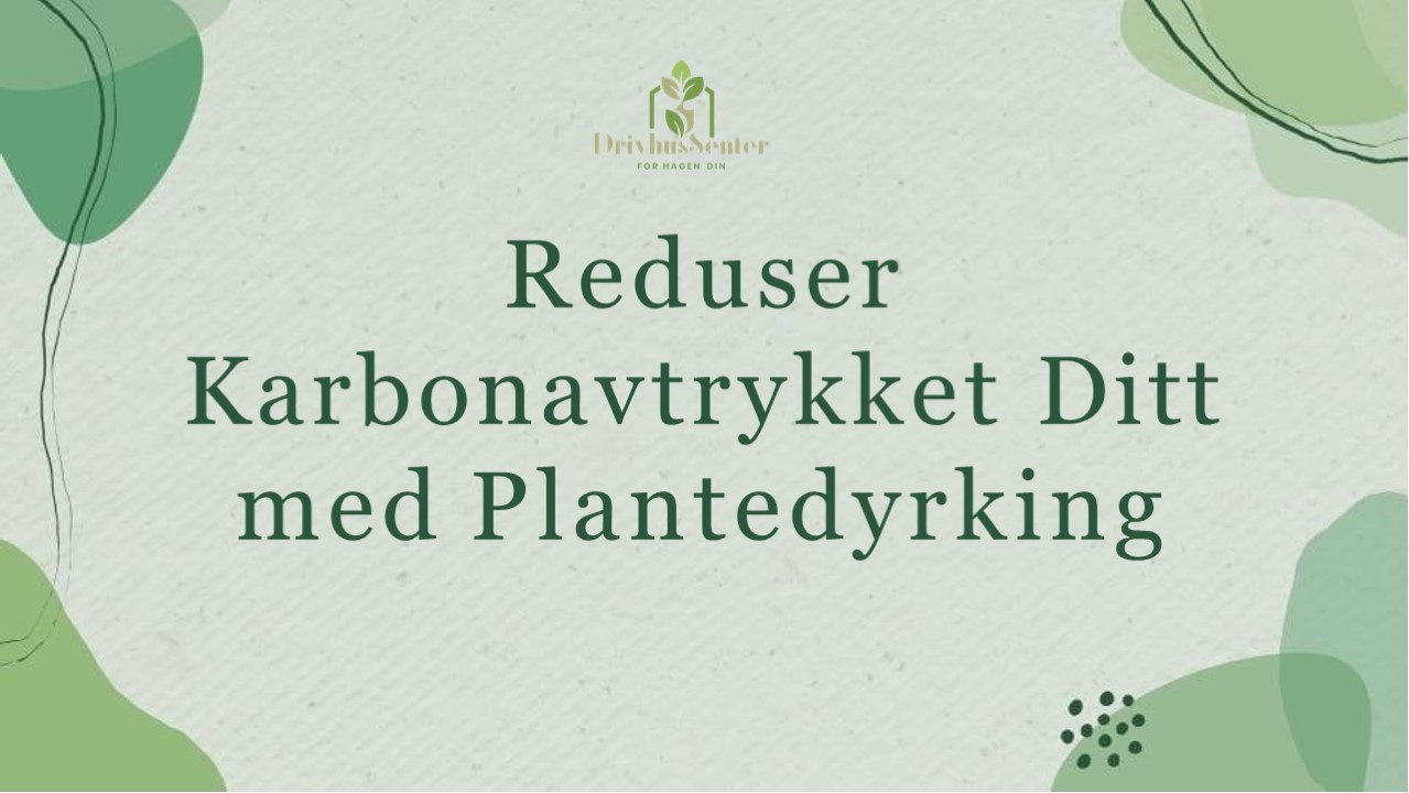 Utnytte Naturens Kraft: Plantedyrking for Karbonreduksjon