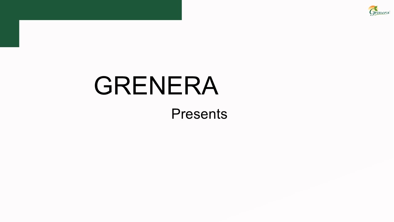 Organic Moringa Seeds Manufacturers, Wholesale&Bulksuppliers