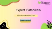 Pure Power: Expert Botanicals Maeng Da White Capsule