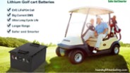 Lithium Golf Cart Batteries