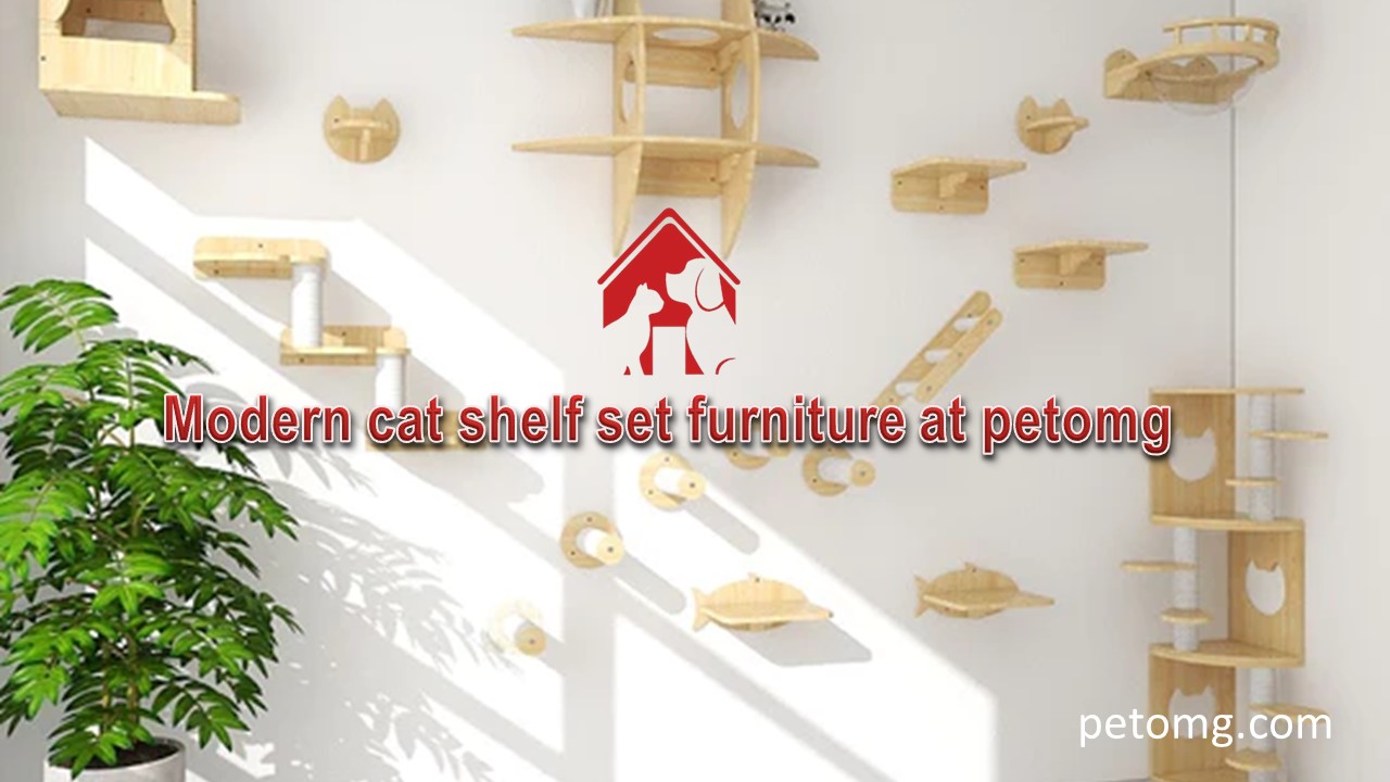 Modern cat shelf set furniture at petomg
