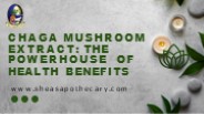 Chaga Mushroom Extract: The Powerhouse of Health Benefits