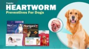Popular Heartworm Preventives for Dogs