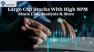 Large Cap Stocks With High NPM