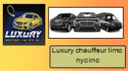 NYC Party Bus Services: Elevate Your Event Experience