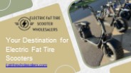 Electric Fat Tire Scooter Wholesalers