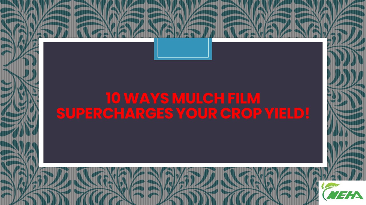 10 Ways Mulch Film Supercharges Your Crop Yield!