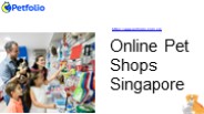 Online Pet Shops Singapore