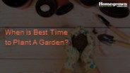 Best Time to Plant A Garden?
