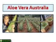 How Can Aloe Gel Aloe Vera Help You?