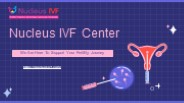 In Vitro Fertilization (IVF)